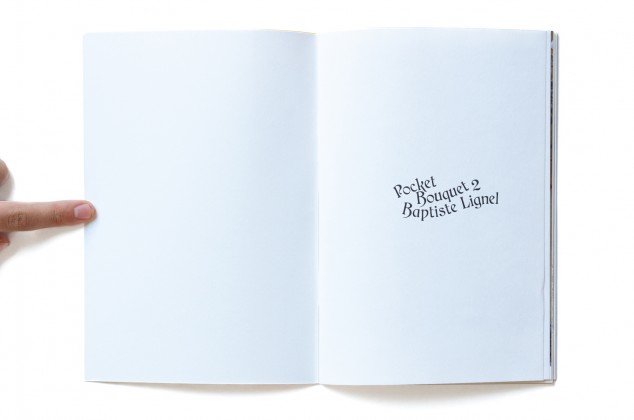 Photography: Pocket Bouquet 2 overview