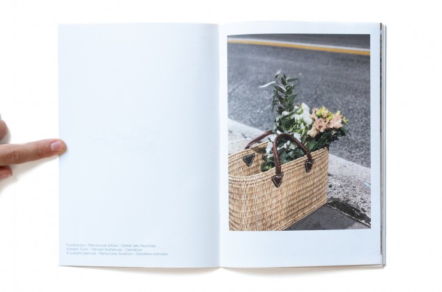 Photography: Pocket Bouquet 2 overview