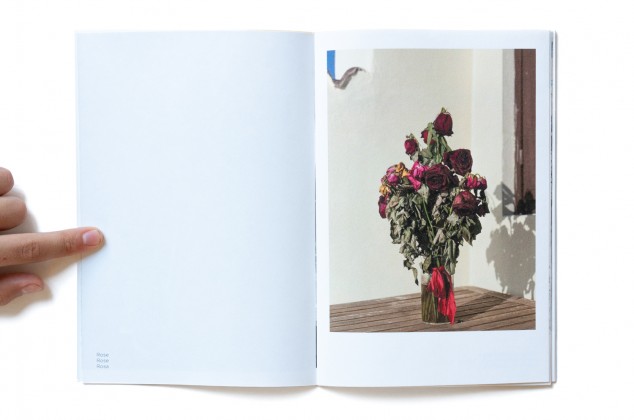 Photography: Pocket Bouquet 2 overview