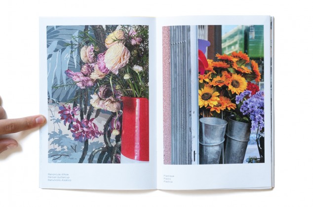 Photography: Pocket Bouquet 2 overview