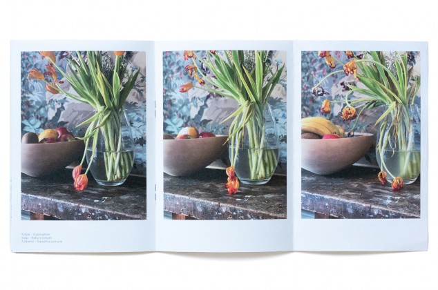 Photography: Pocket Bouquet 2 overview