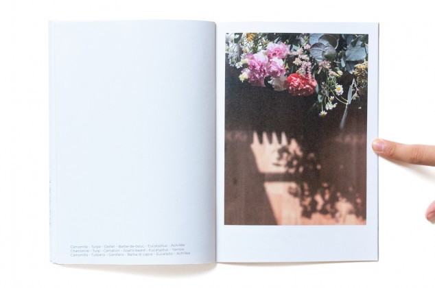 Photography: Pocket Bouquet 2 overview